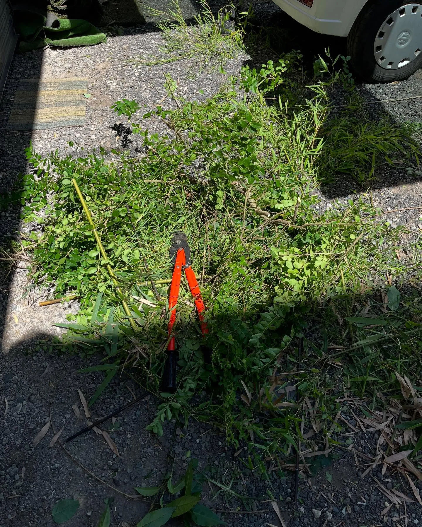 今日は日曜日にしかできない某アパートの通路や階段の高圧洗浄機...