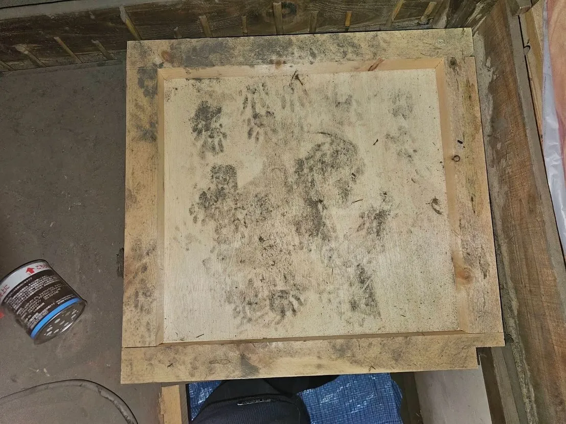 害獣駆除も🦡💥