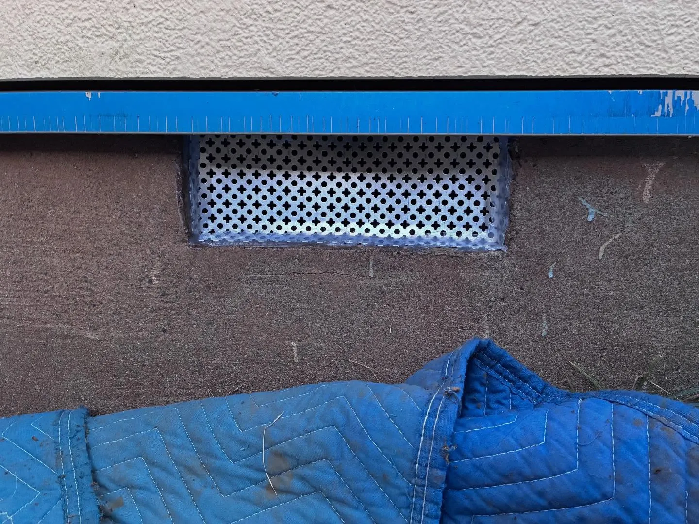 害獣駆除も🦡💥